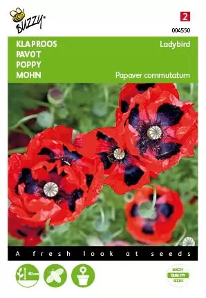 BUZZY Papaver lady bird 0.5g