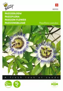 BUZZY Passiflora coerulea 0.33g