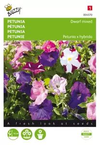 BUZZY Petunia hybrida nana comp. mix 0.2g