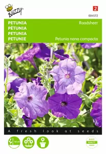 BUZZY Petunia hybrida nana comp. raa 0.2g