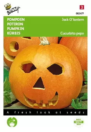 BUZZY Pompoen jack olantern 2g