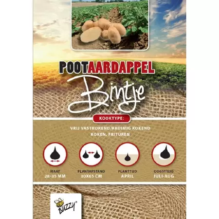 BUZZY Pootaardappel bintje 1kg - afbeelding 1