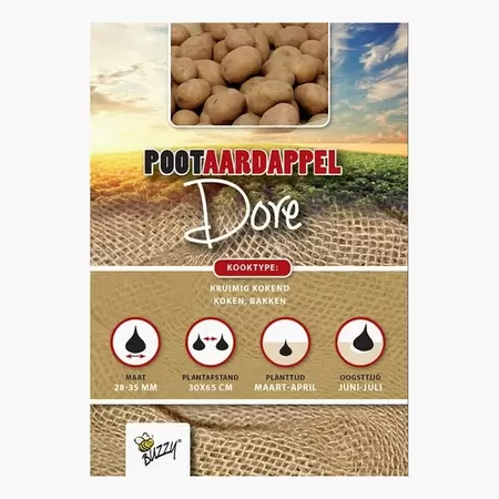 BUZZY Pootaardappel dore 1kg - afbeelding 1