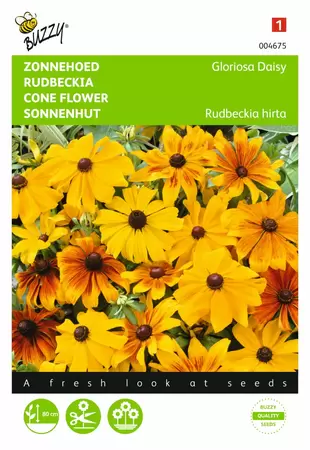 BUZZY Rudbeckia hirta gloriosa daisy 0.5g