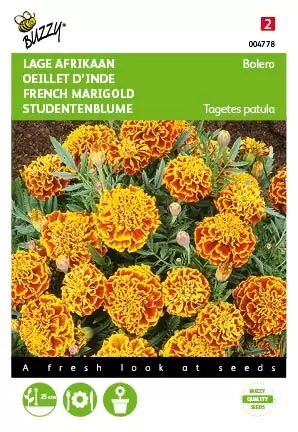 BUZZY Tagetes patula nana bolero 1g