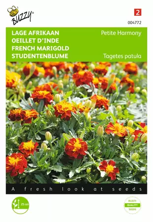 BUZZY Tagetes patula nana petite harmo 1g