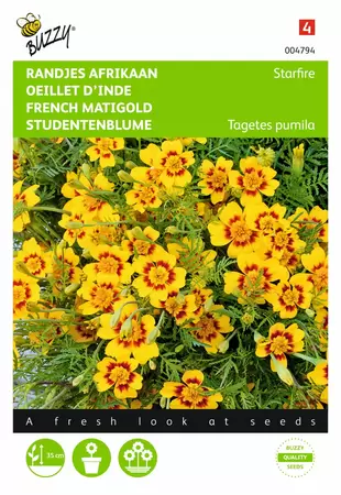 BUZZY Tagetes signata pumila randjesa 1g