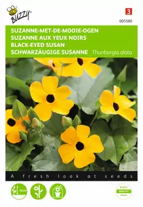 BUZZY Thunbergia alata suzanne 0.5g