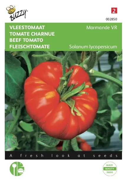 BUZZY Tomaat marmande vleestom. 2g - afbeelding 1