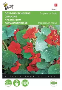 BUZZY Tropaeolum majus nanum empress o 3g