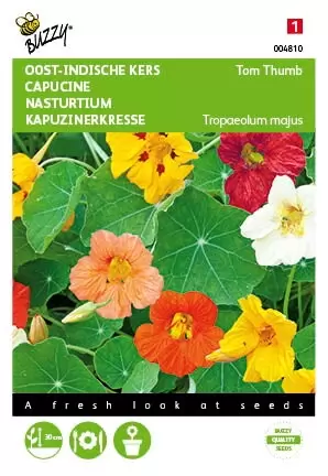 BUZZY Tropaeolum majus tom thumb mix 3g