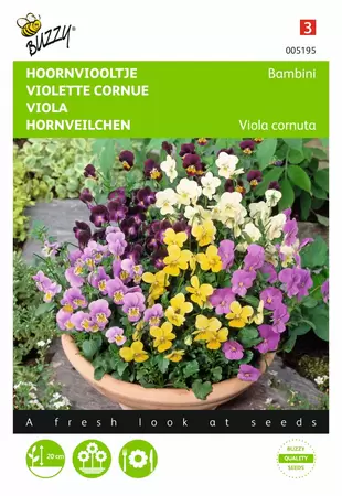 BUZZY Viola cornuta bambini mix 0.4g