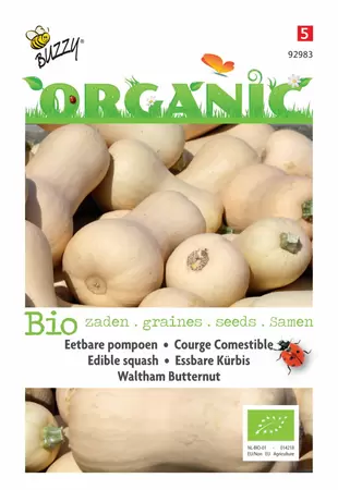 BUZZY Wintersquash waltham butternut 2g