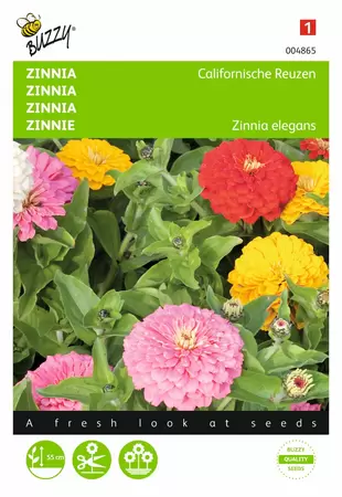 BUZZY Zinnia elegans californisch rs 1.5g