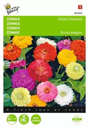 BUZZY Zinnia elegans dubbel dahliabl 1.5g