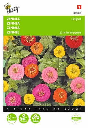 BUZZY Zinnia elegans liliput pompon 1.5g