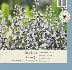 VIPS Calamintha nepeta ssp. nepeta  P9