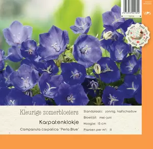 VIPS Campanula carpatica Perla Blue P9