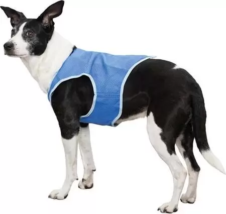 Cool vest pva blauw l85cm