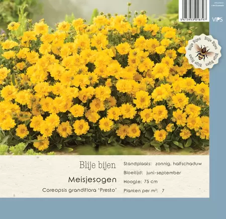 VIPS Coreopsis grandiflora Presto p9