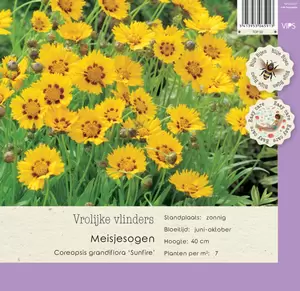 VIPS Coreopsis grandiflora Sunfire P9