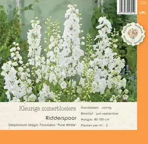 VIPS Delphinium Magic Foun.Pure Wht p9