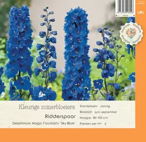 Delphinium Magic Fountains 'Sky Blue'