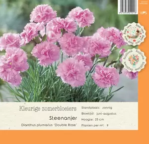 VIPS Dianthus plumarius Double Rose P9