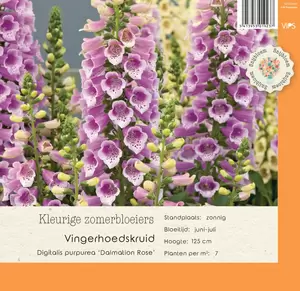 VIPS Digitalis Dalmation Rose p9