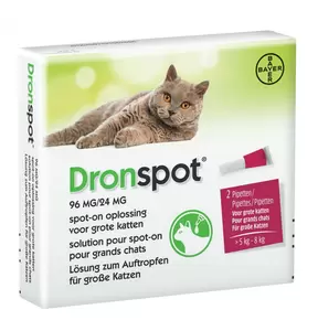 DRONSPOT Grote katten 2 pip