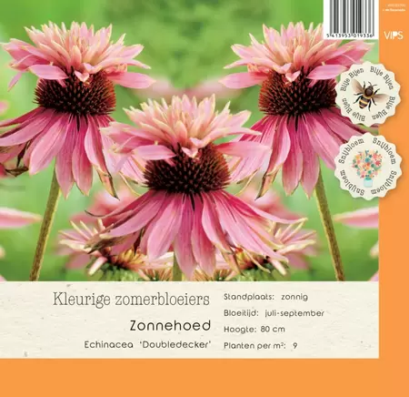 VIPS Echinacea Doubledecker P9