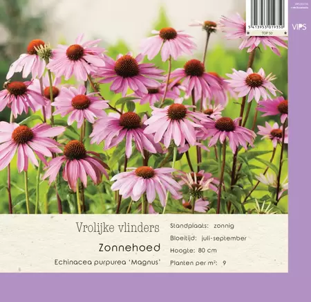 VIPS Echinacea purpurea Magnus p9