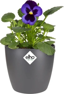 ELHO Pot brussels d10.5cm antraciet - afbeelding 2