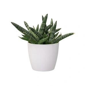 ELHO Pot brussels d12.5cm wit - afbeelding 2