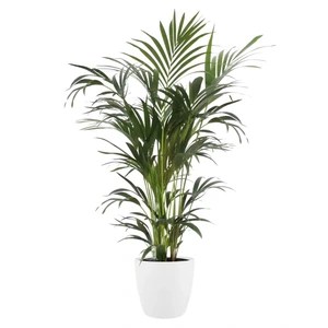 ELHO Pot brussels d25cm wit - afbeelding 2