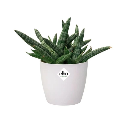 ELHO Pot brussels d9.5cm wit - afbeelding 2