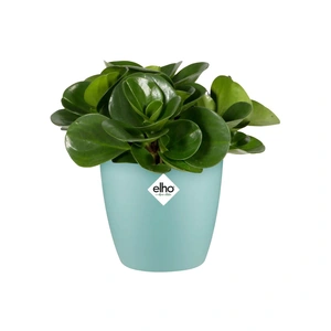 ELHO Pot brussels mini d7cm mint - afbeelding 2