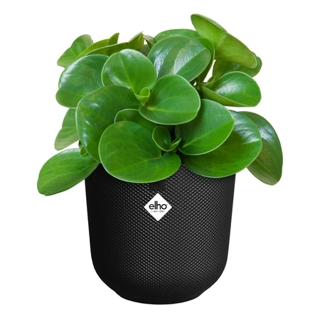 ELHO Pot jazz d19cm living black - afbeelding 2