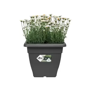 ELHO Pot torino campana vk 25cm ntrct - afbeelding 2