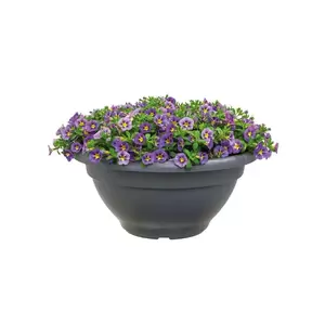 ELHO Pot torino schaal d50cm antrct - afbeelding 2