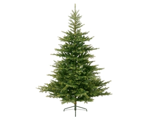 EVERLANDS Grandis fir l210cm groen - afbeelding 2