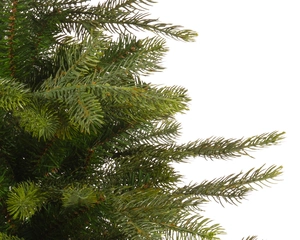 EVERLANDS Grandis miniboom pot h90cm groen - afbeelding 2
