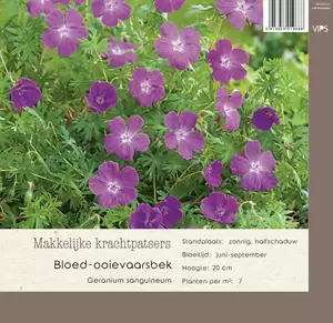 VIPS Geranium sanguineum  P9