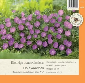 VIPS Geranium sanguineum Max Frei p9