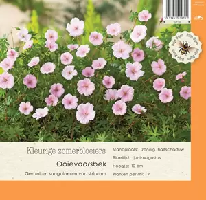 VIPS Geranium sang. var. striatum P9