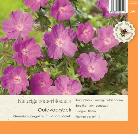 VIPS Geranium sanguineum visions Vlt p9