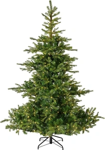 Grandis bm fr prlt d172h270 grn/wwt - afbeelding 2