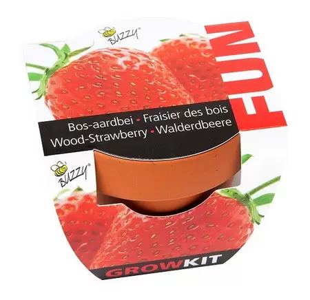 Groeicadeautjes-fun aardbeien