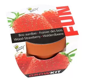 Groeicadeautjes-fun aardbeien