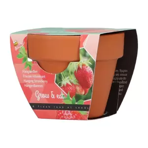 Grow gifts aardbei 30st. - afbeelding 2